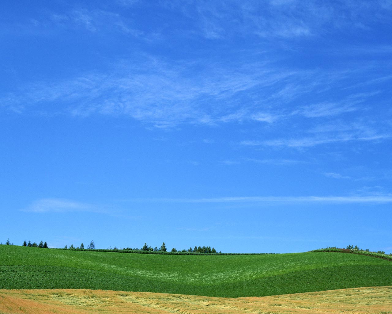 Detail Background Biru Awan Nomer 36