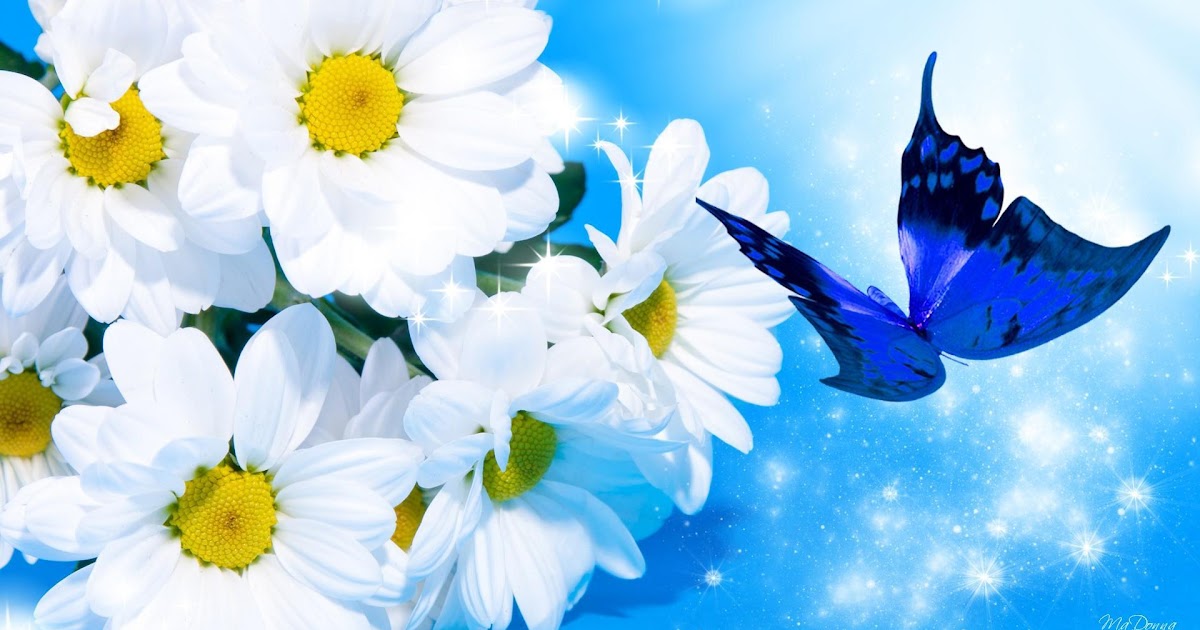 Detail Background Biru Bunga Nomer 17