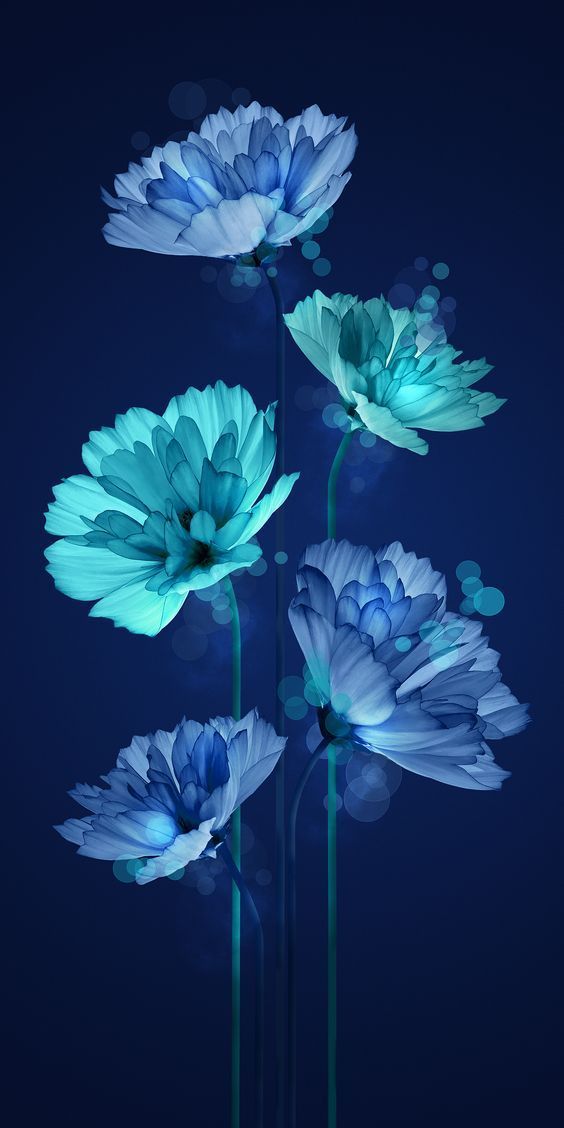Detail Background Biru Bunga Nomer 26