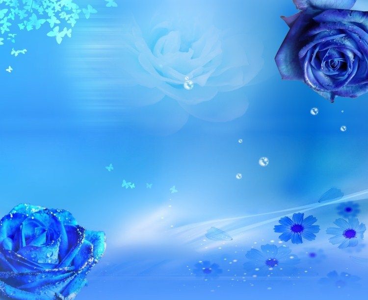 Detail Background Biru Bunga Nomer 5