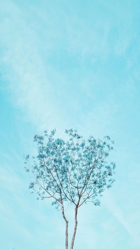 Detail Background Biru Cantik Nomer 25