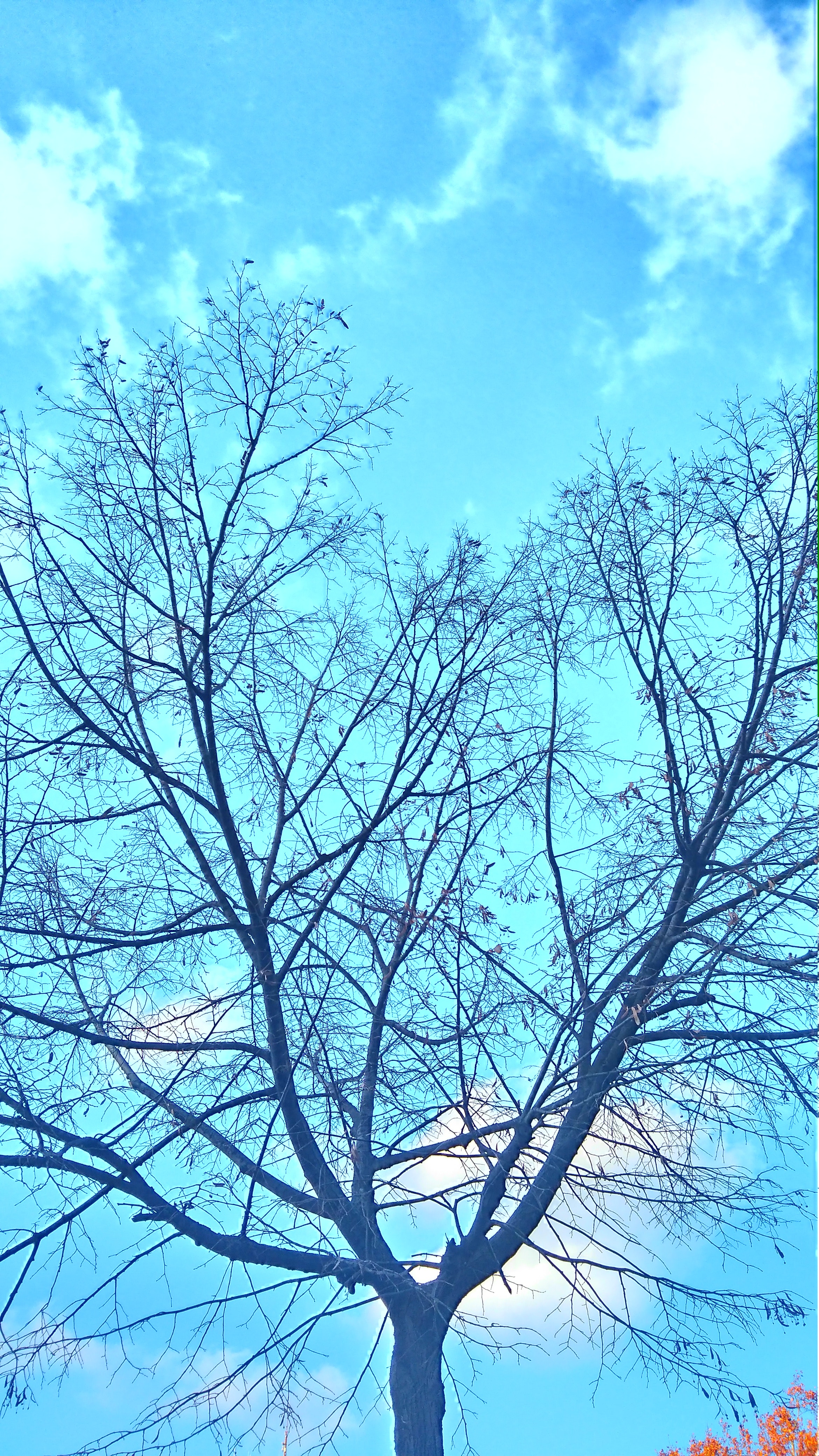 Detail Background Biru Cantik Nomer 47