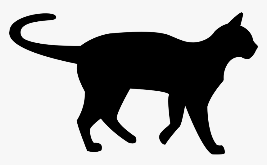 Detail Cat Transparent Nomer 5
