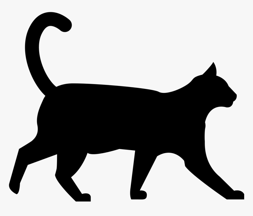 Detail Cat Transparent Nomer 12