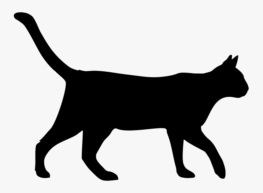 Detail Cat Transparent Nomer 17
