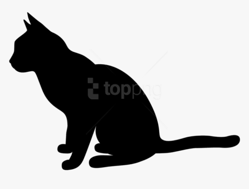 Detail Cat Transparent Nomer 2