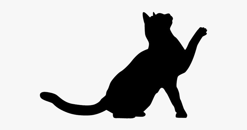 Detail Cat Transparent Nomer 3
