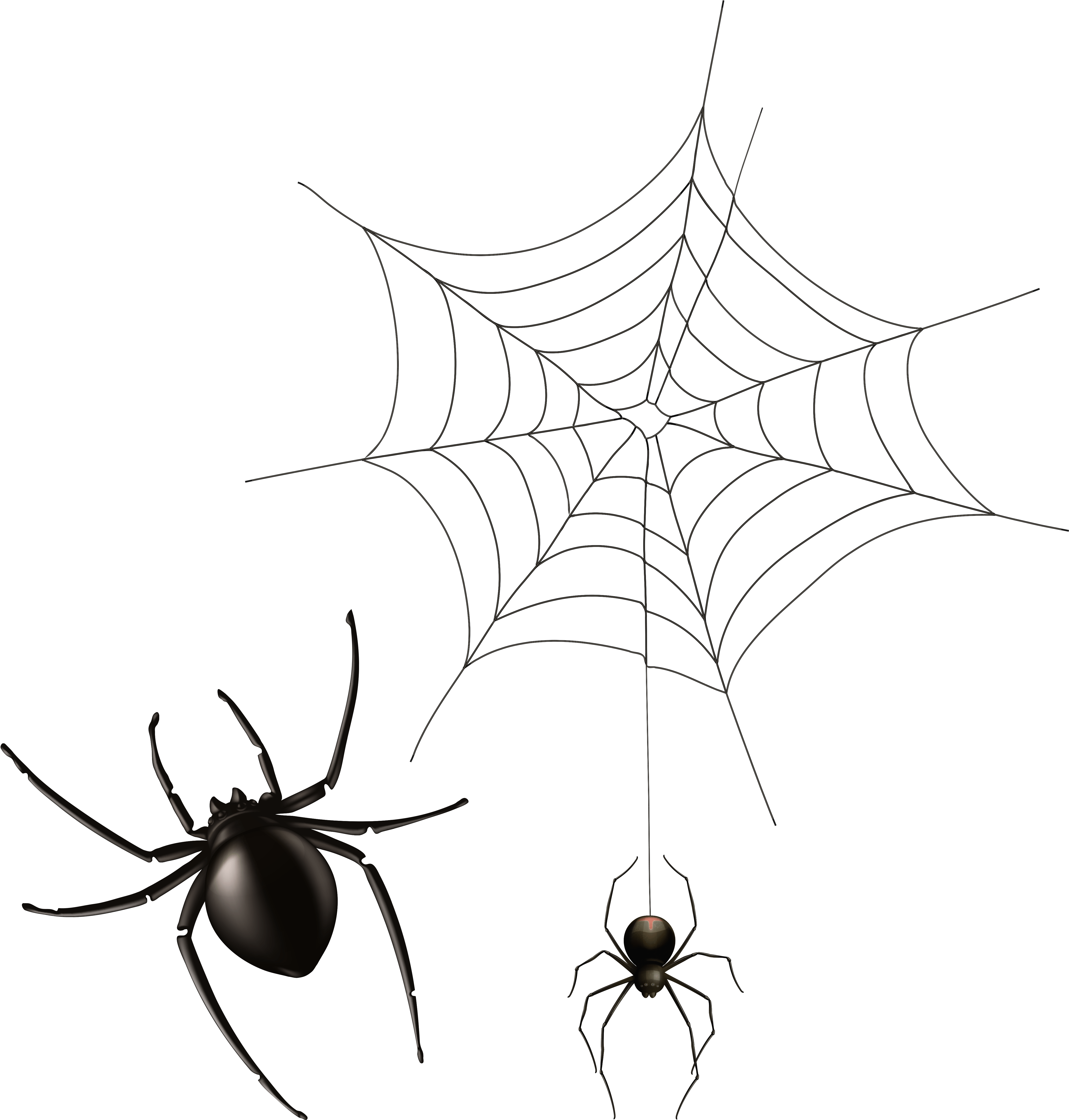 Detail Halloween Spinne Malen Nomer 14