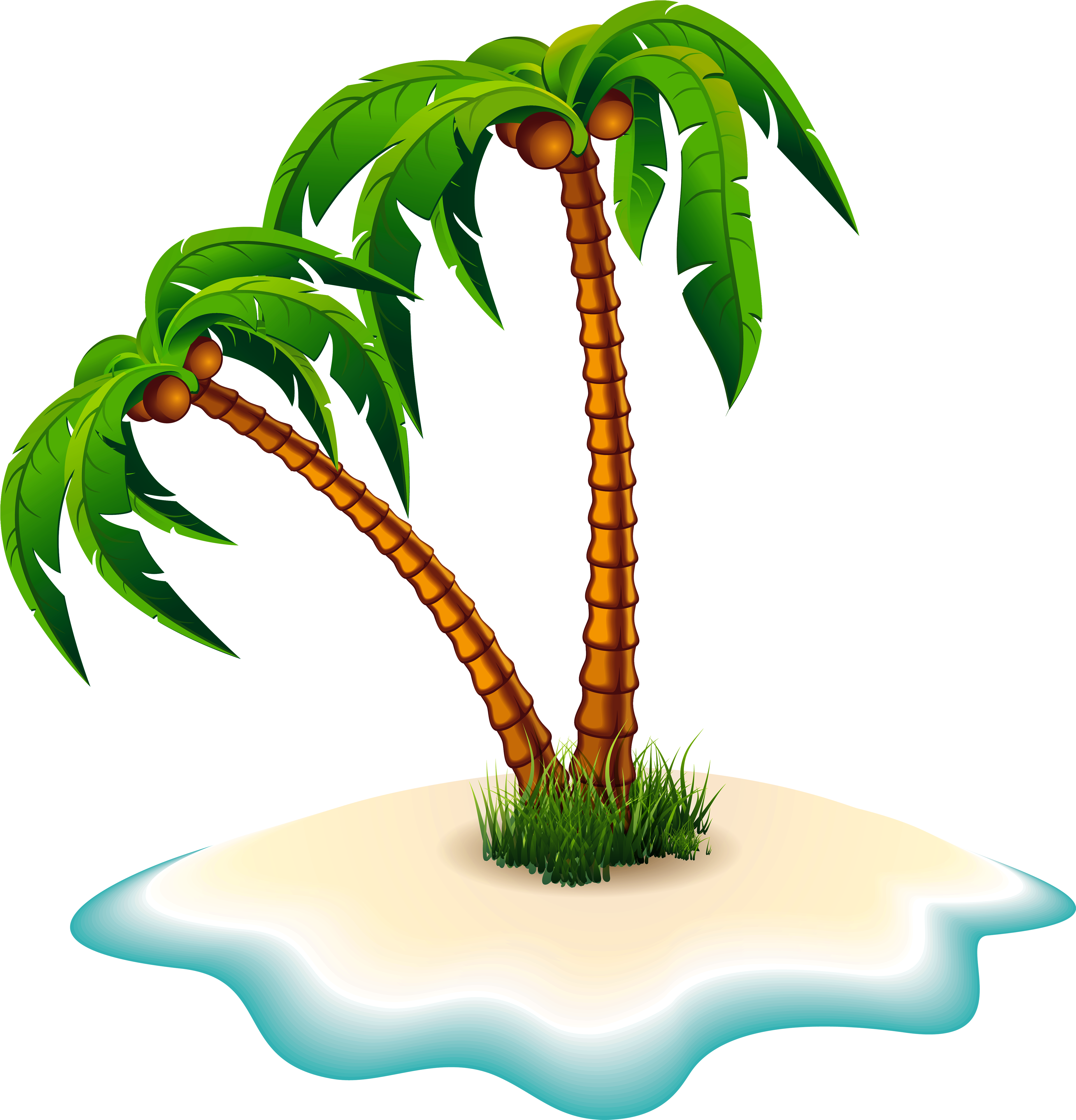 Detail Palm Tree Png Nomer 10