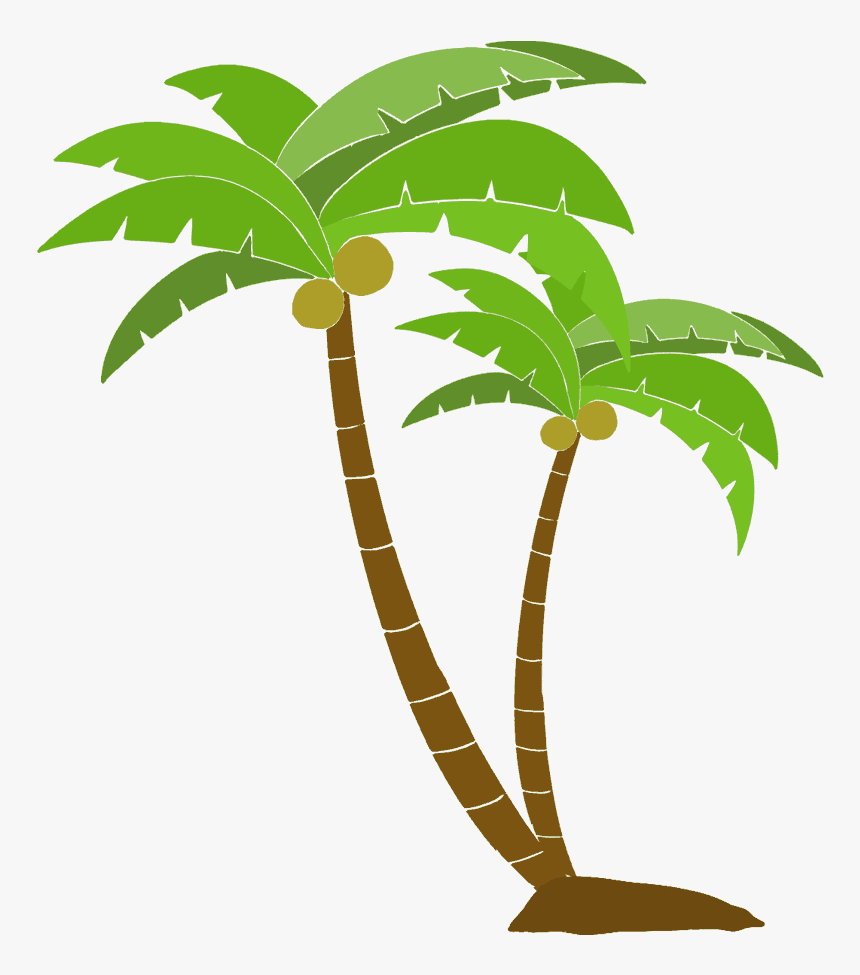 Detail Palm Tree Png Nomer 11