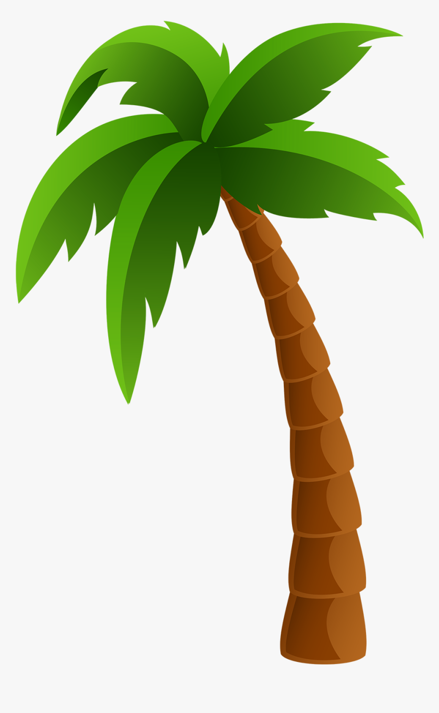 Detail Palm Tree Png Nomer 3