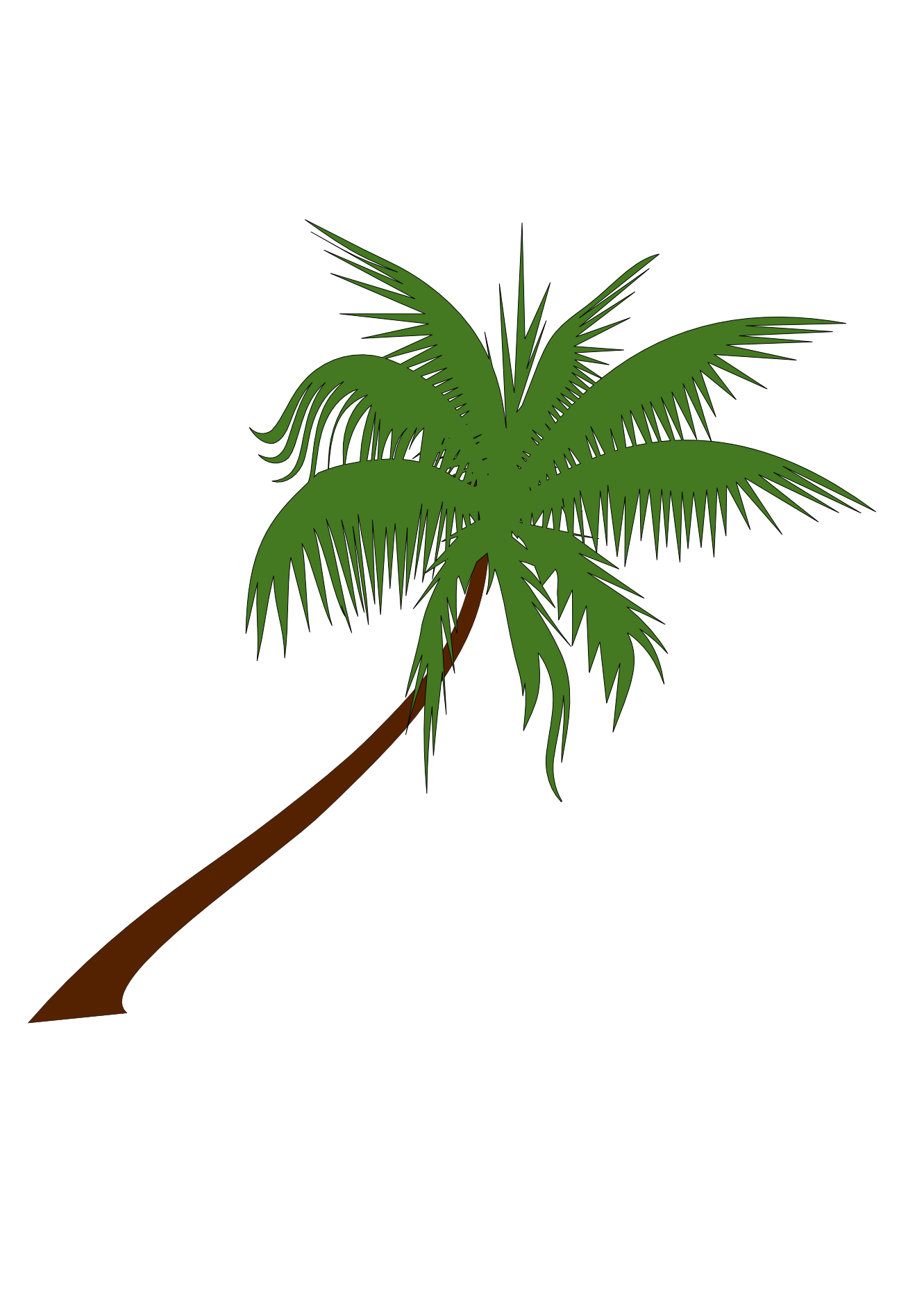 Detail Palm Tree Png Nomer 18