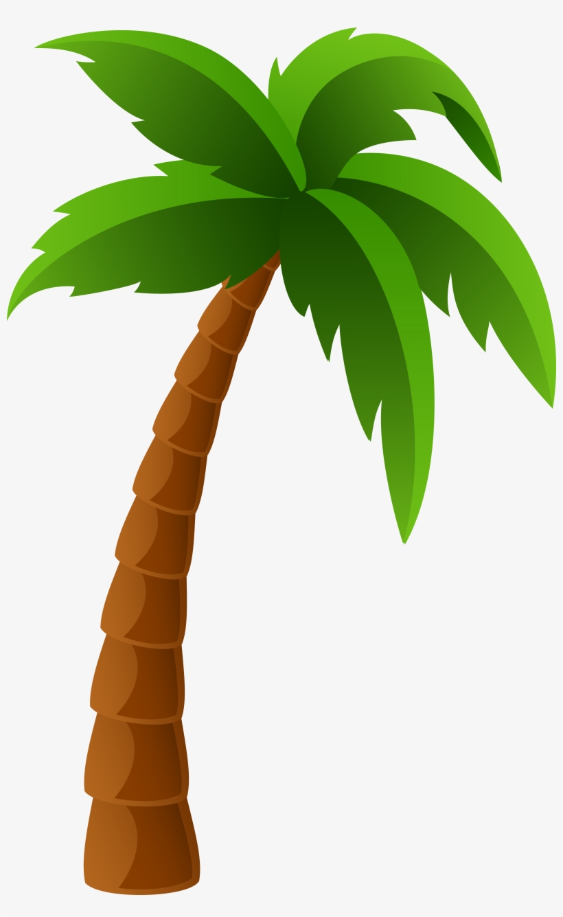 Detail Palm Tree Png Nomer 5