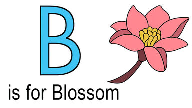 Detail B The Beginning Logo Nomer 23