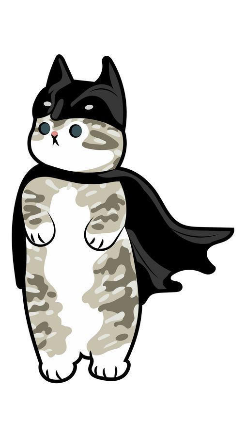 Batman Katze - KibrisPDR