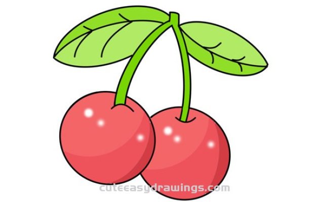 Detail Cherry Drawing Nomer 14