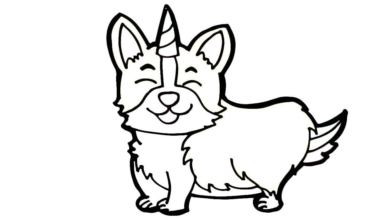 Detail Corgi Mit Langen Beinen Nomer 2