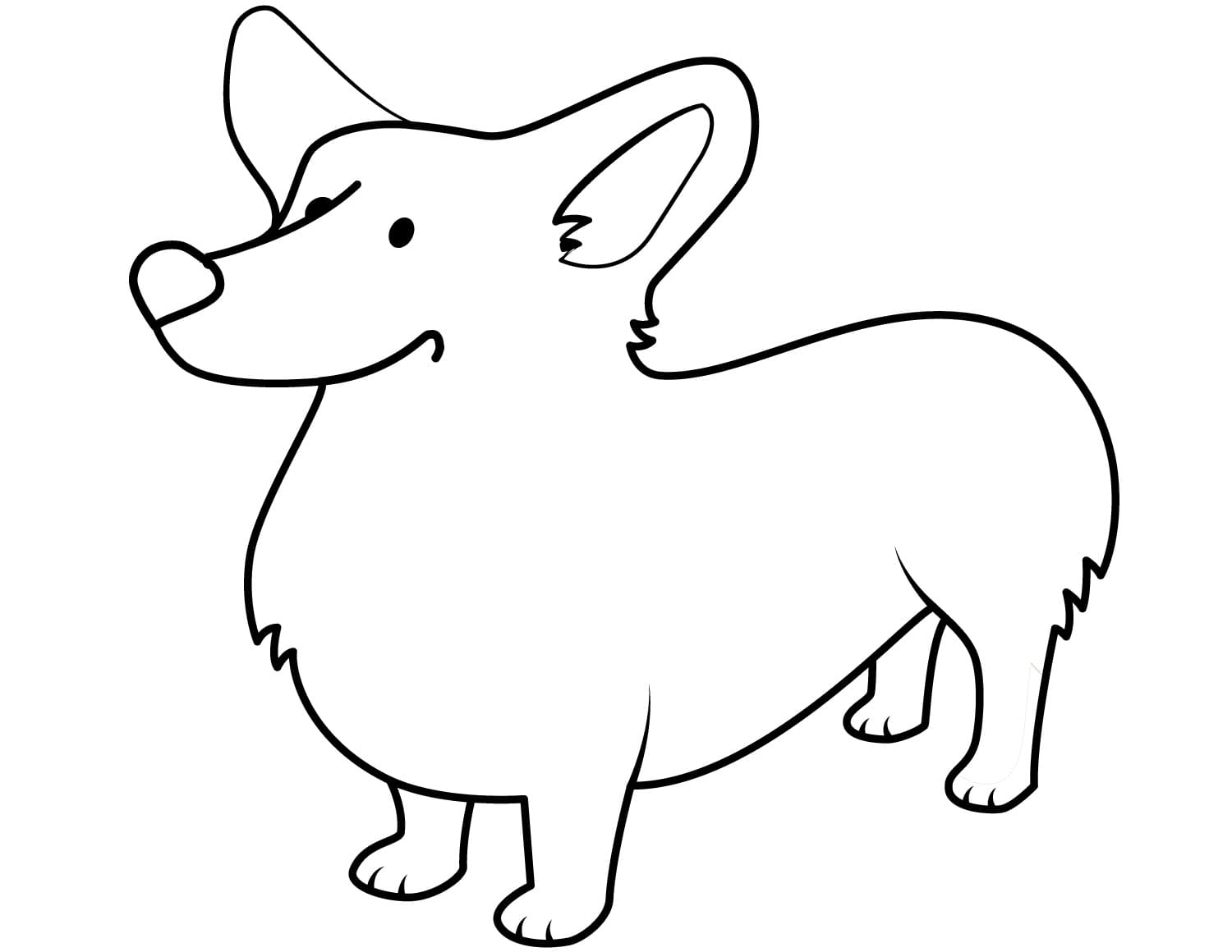 Detail Corgi Mit Langen Beinen Nomer 3