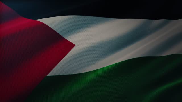 Detail Download Bendera Palestina Nomer 40