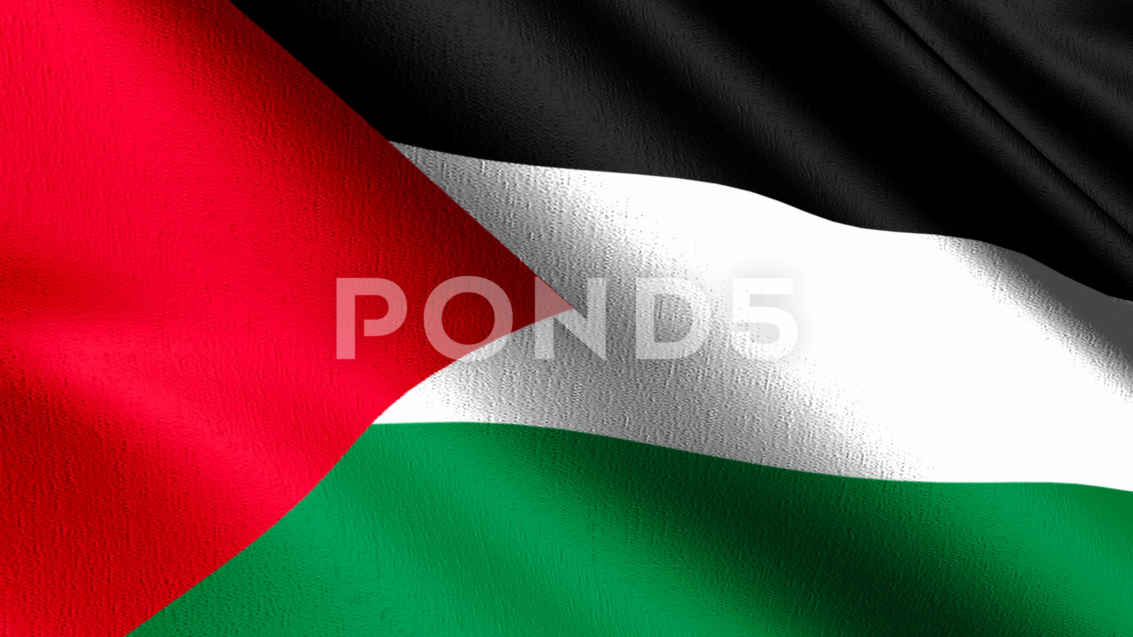 Detail Download Bendera Palestina Nomer 43