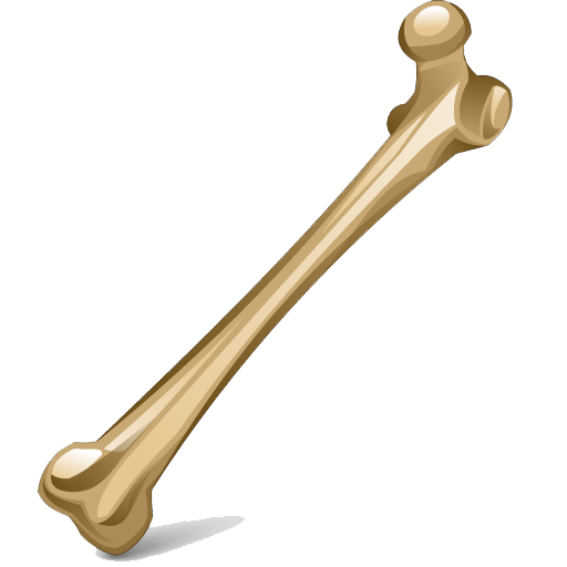 Detail Download Bone Nomer 29