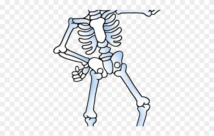 Detail Download Bone Nomer 35