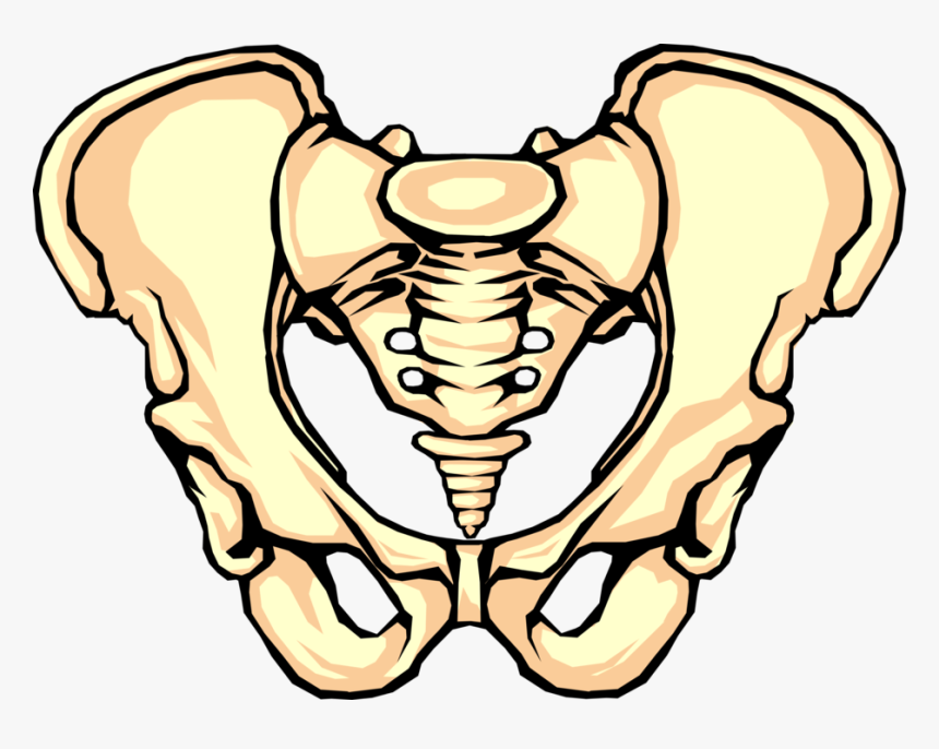 Detail Download Bone Nomer 39