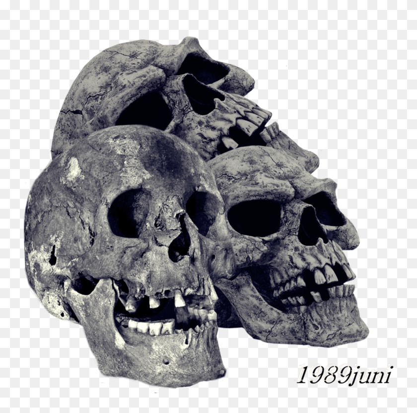 Detail Download Bone Nomer 42