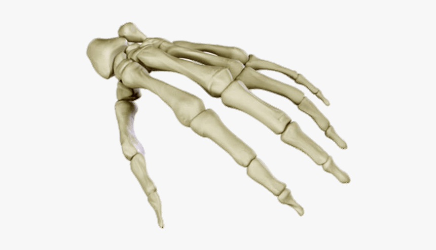 Detail Download Bone Nomer 10