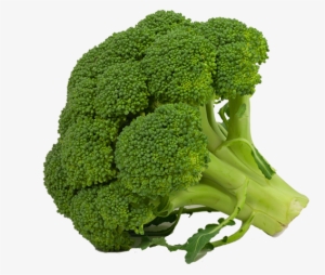Detail Download Broccoli Nomer 21