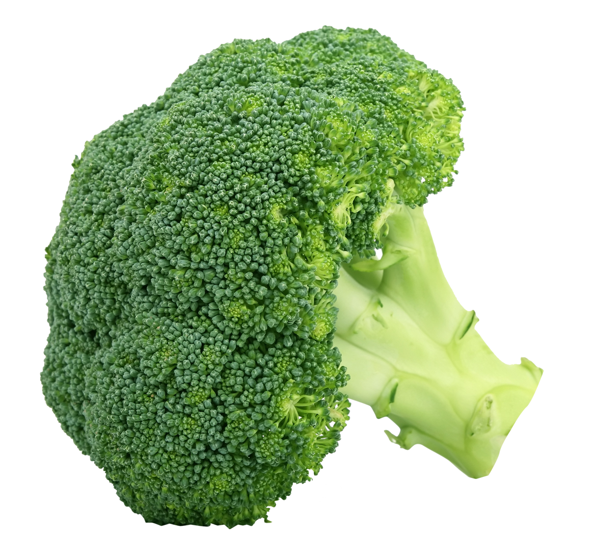 Detail Download Broccoli Nomer 5