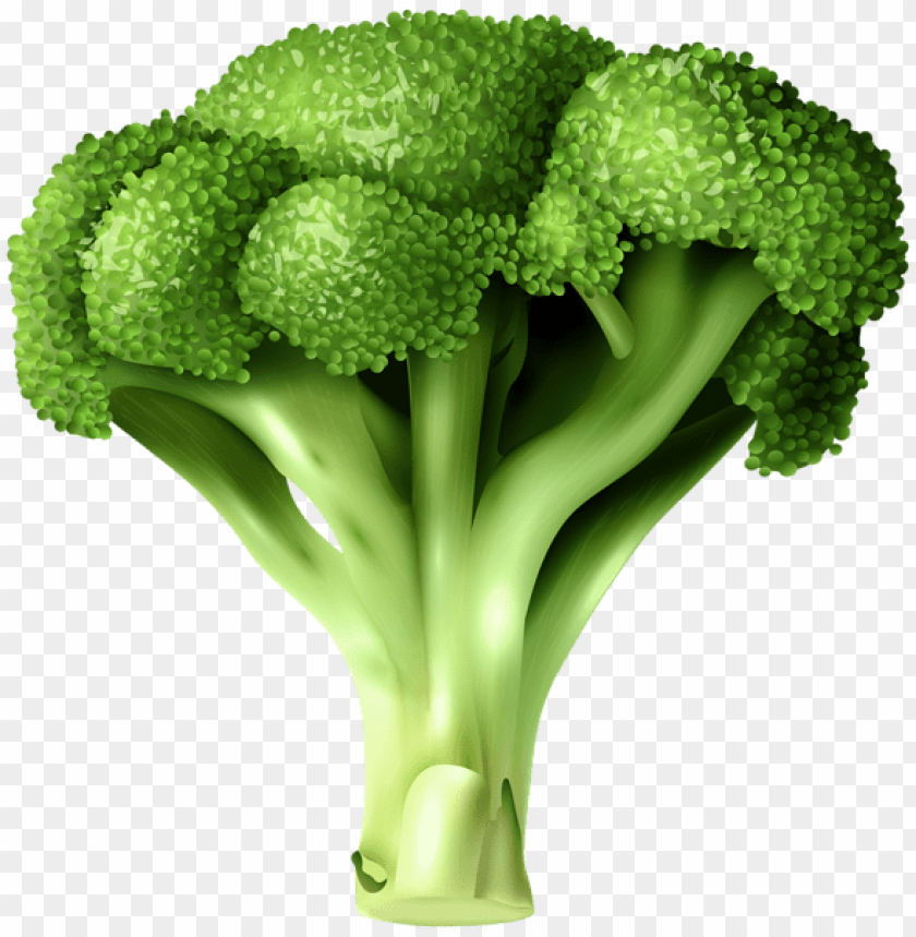 Detail Download Broccoli Free Nomer 19