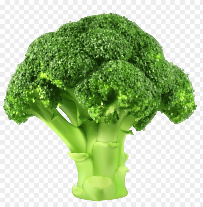 Detail Download Broccoli Free Nomer 5