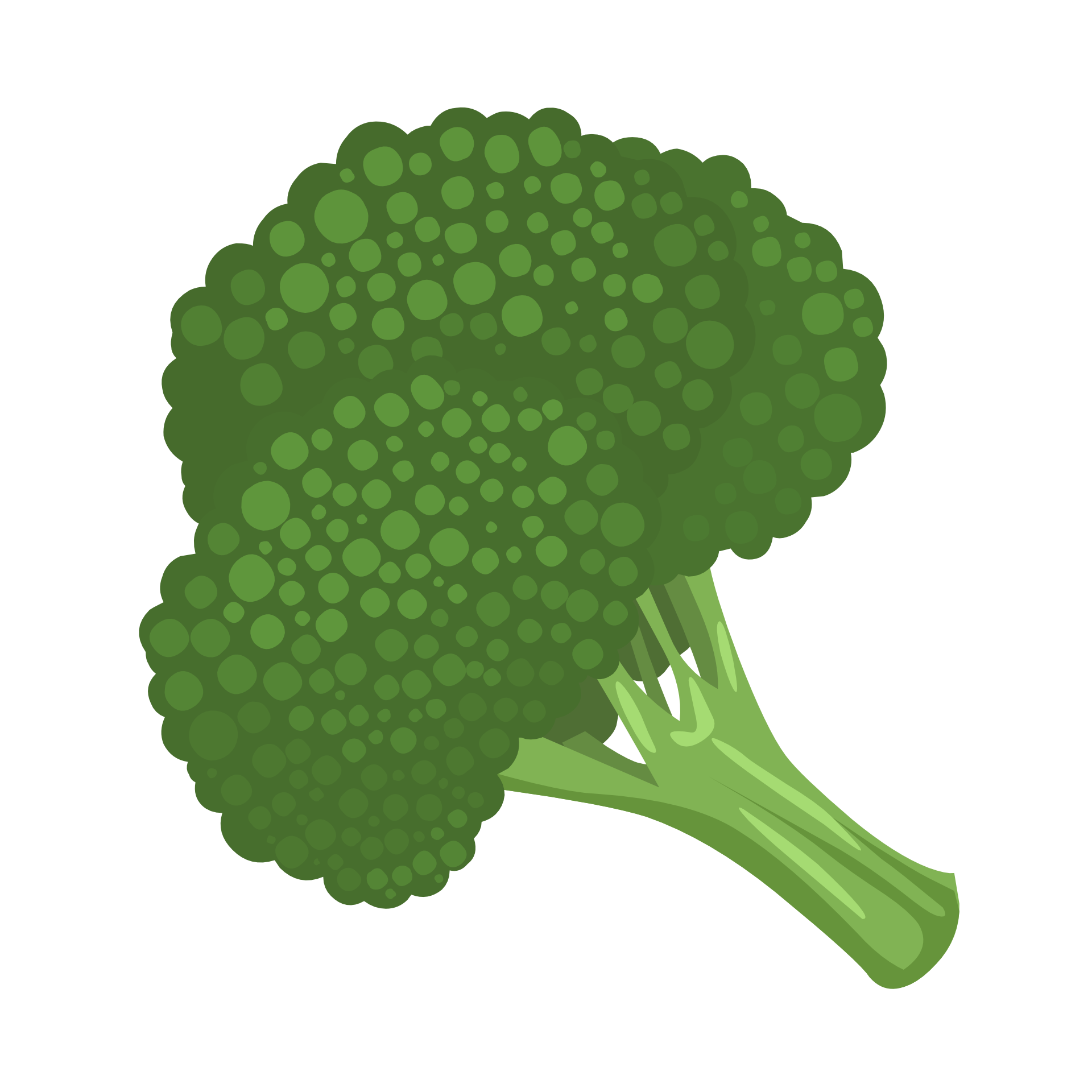 Detail Download Broccoli Free Nomer 52