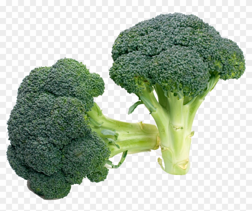 Detail Download Broccoli Free Nomer 9