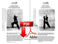 Detail Download Buku Wing Chun Gratis Nomer 46