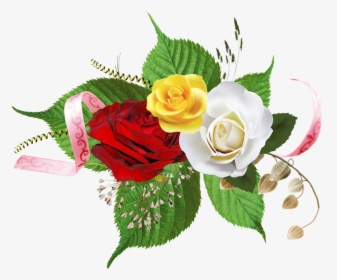 Detail Download Bunga Nomer 33