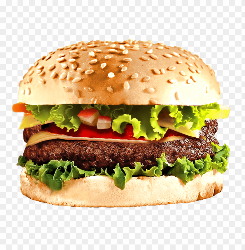 Detail Download Burger Nomer 15
