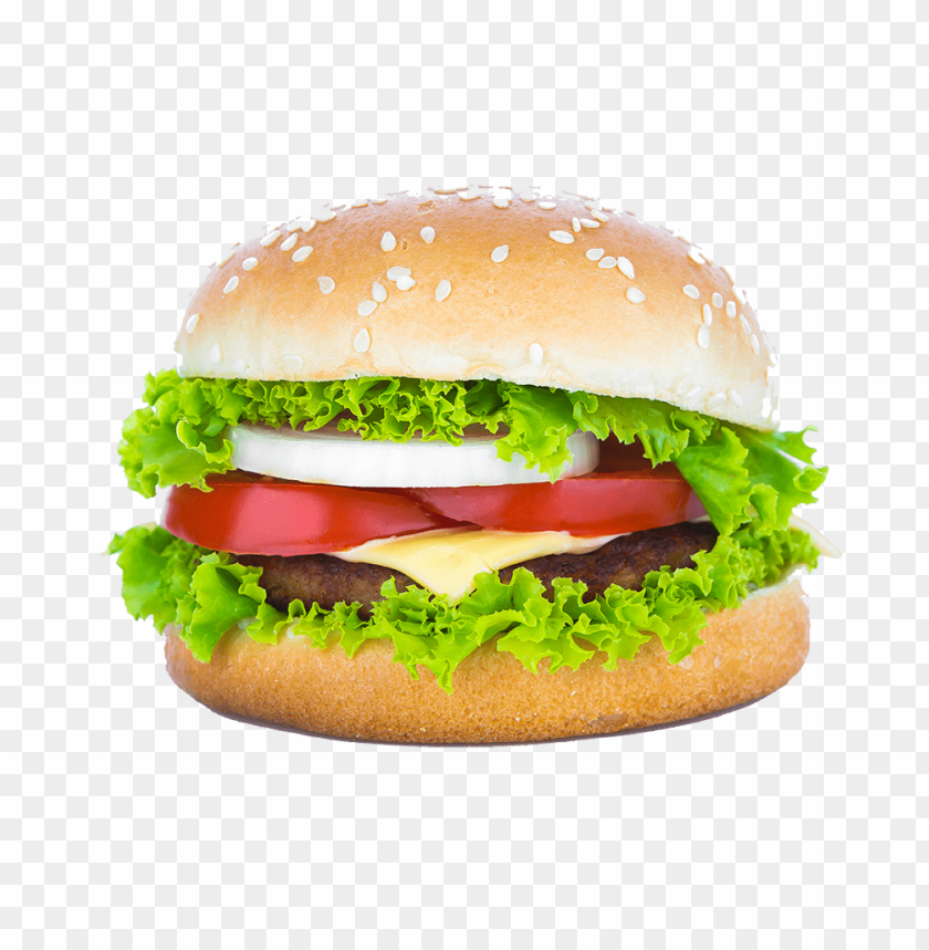 Detail Download Burger Nomer 16