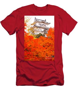 Detail Himeji Castle Foe Nomer 11