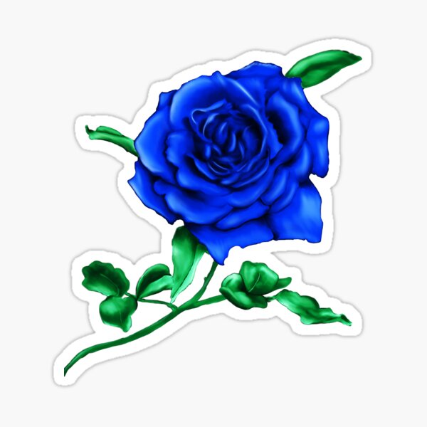 Detail Hintergrund Blaue Rose Nomer 9