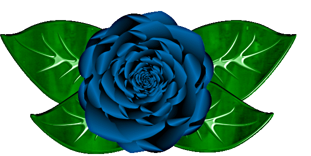 Detail Hintergrund Blaue Rose Nomer 8