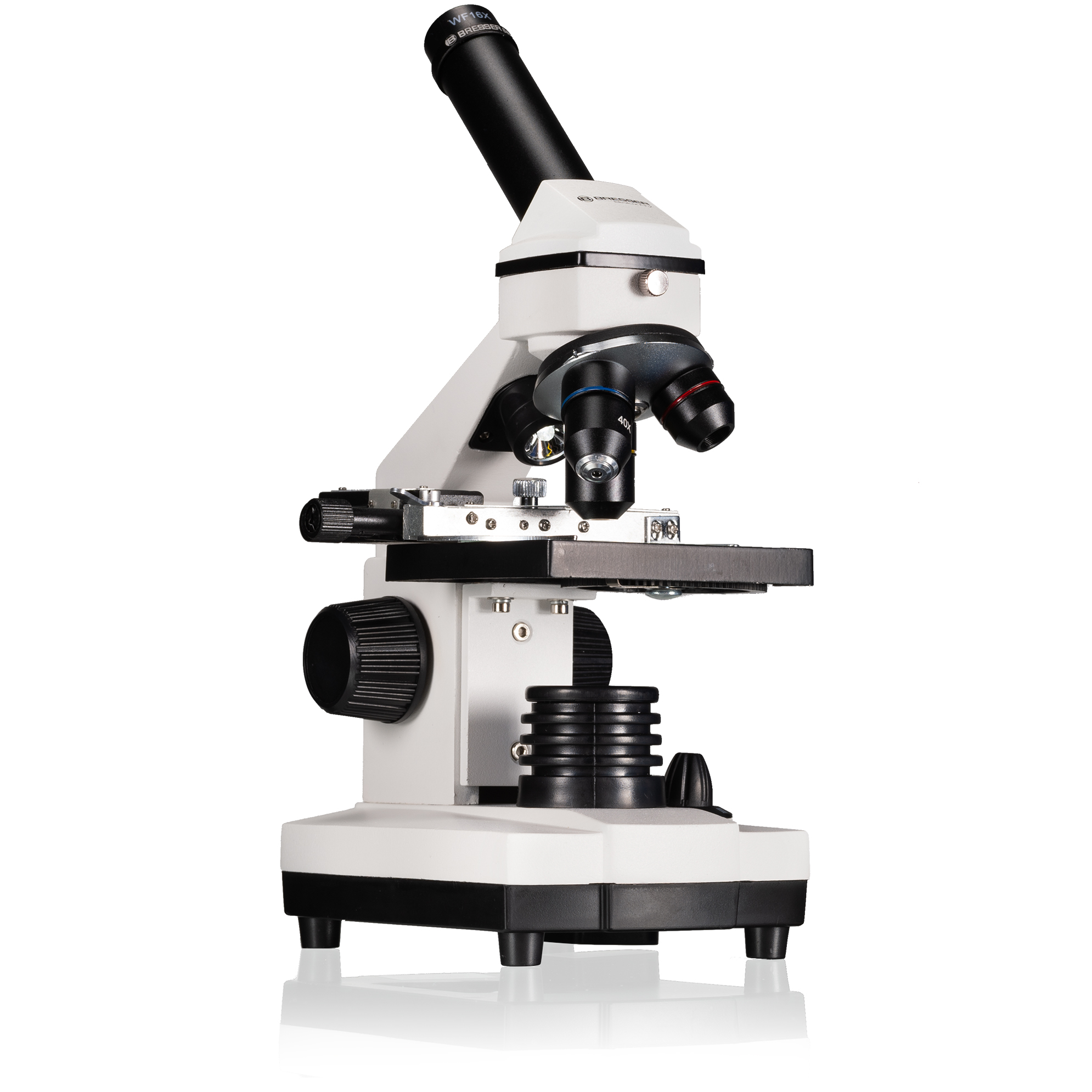Mikroskop Mit Beschriftung - KibrisPDR