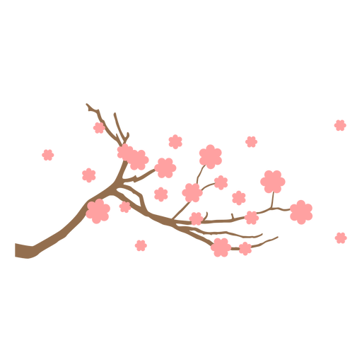 Detail Sakura Baum Nomer 17