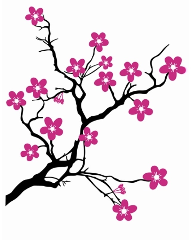 Detail Sakura Baum Nomer 4