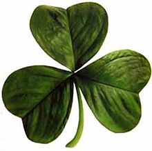 Detail Shamrock Image Nomer 10