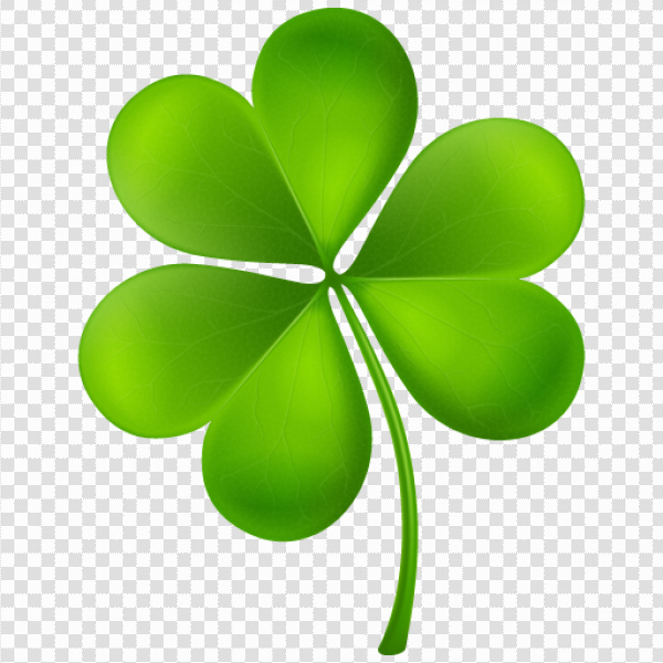 Detail Shamrock No Background Nomer 19