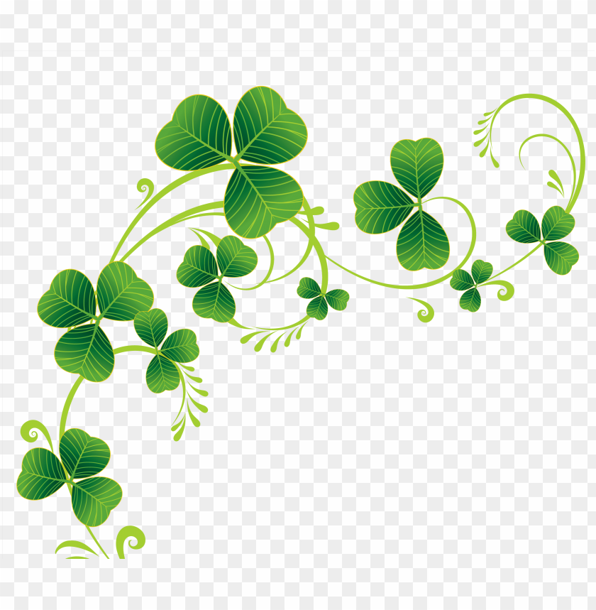 Detail Shamrock No Background Nomer 32