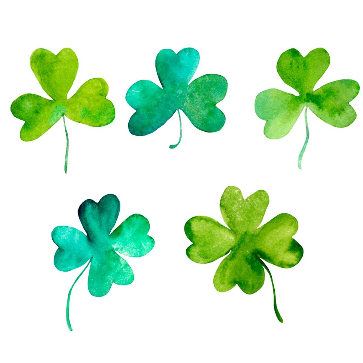 Detail Shamrock Pic Nomer 13
