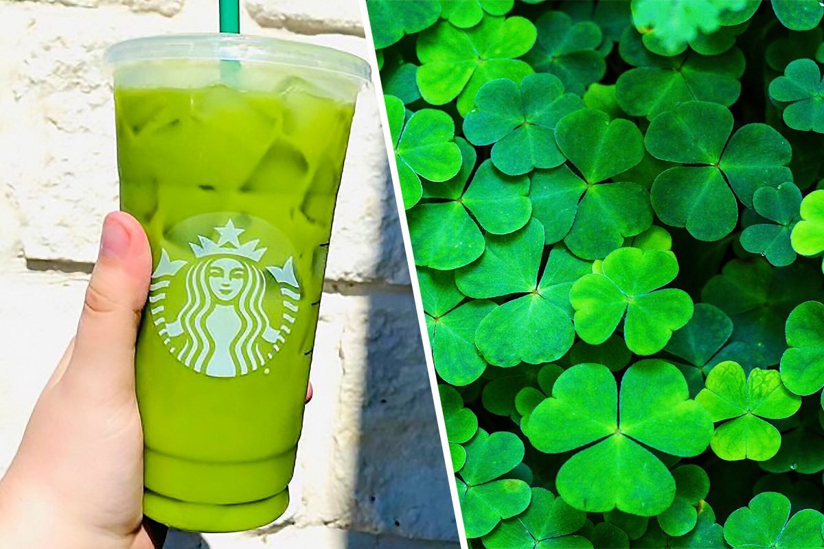 Detail Shamrock Pic Nomer 24